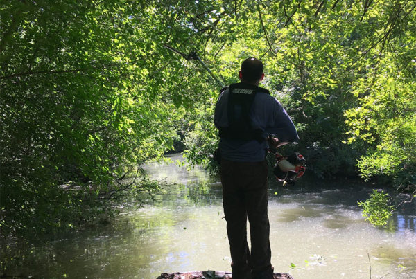 Nettoyage des Conches du Marais Poitevin